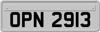 OPN2913