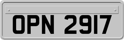 OPN2917