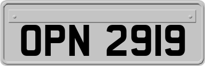 OPN2919