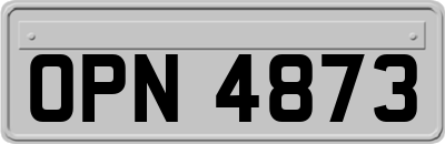 OPN4873
