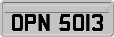 OPN5013