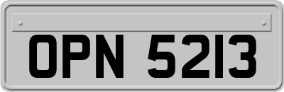 OPN5213