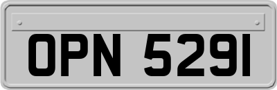 OPN5291