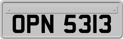 OPN5313