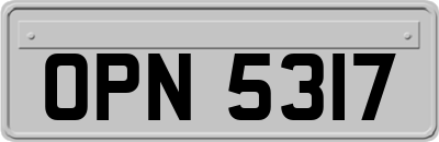 OPN5317