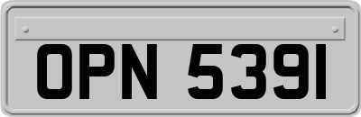 OPN5391
