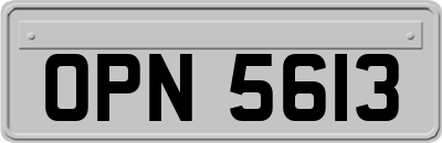 OPN5613