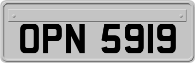 OPN5919