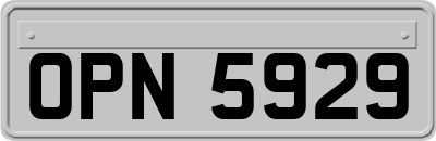 OPN5929