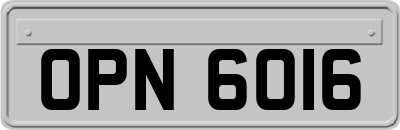 OPN6016