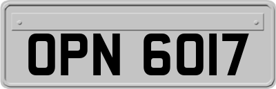 OPN6017