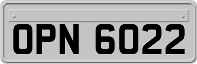 OPN6022