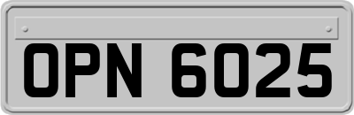 OPN6025