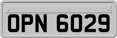 OPN6029