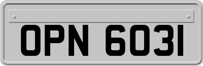 OPN6031