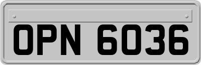 OPN6036