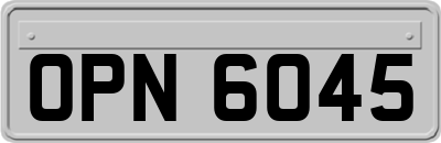 OPN6045