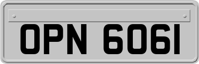 OPN6061