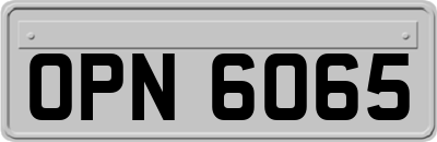 OPN6065