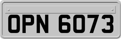 OPN6073