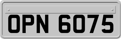OPN6075