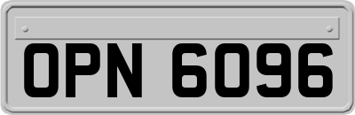 OPN6096