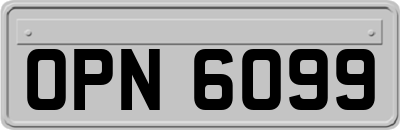OPN6099