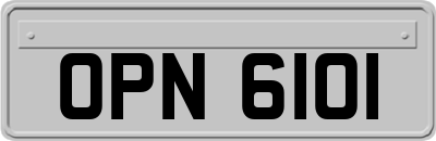 OPN6101