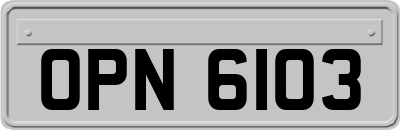 OPN6103