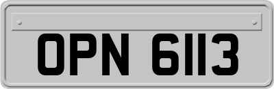 OPN6113