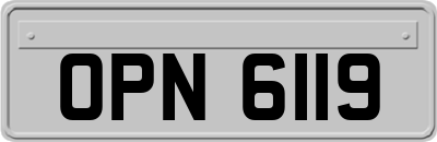 OPN6119
