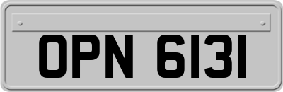 OPN6131