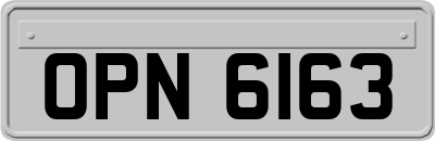 OPN6163