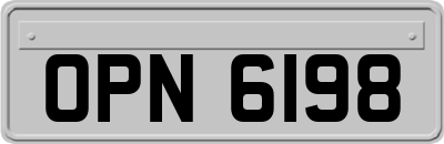 OPN6198