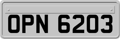 OPN6203