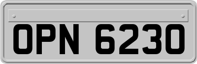 OPN6230