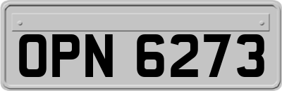 OPN6273