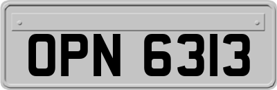 OPN6313