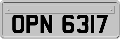 OPN6317