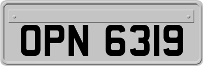 OPN6319