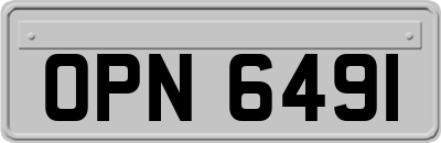 OPN6491