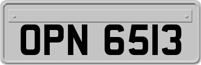 OPN6513