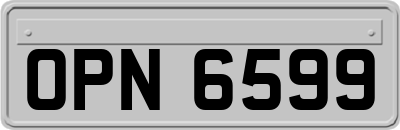 OPN6599