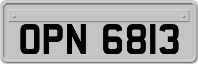 OPN6813