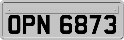 OPN6873