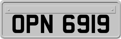 OPN6919