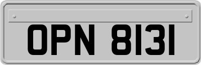 OPN8131