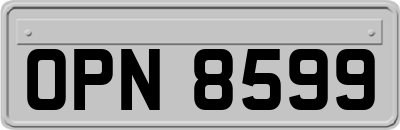 OPN8599
