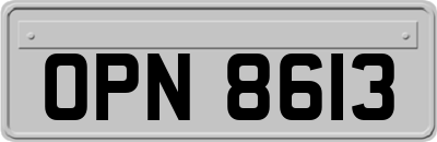 OPN8613