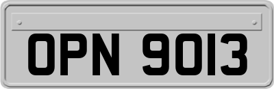 OPN9013
